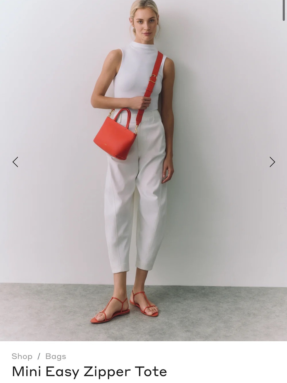 Cuyana Mini Easy Zipper Tote in Chili - Picture 3 of 6